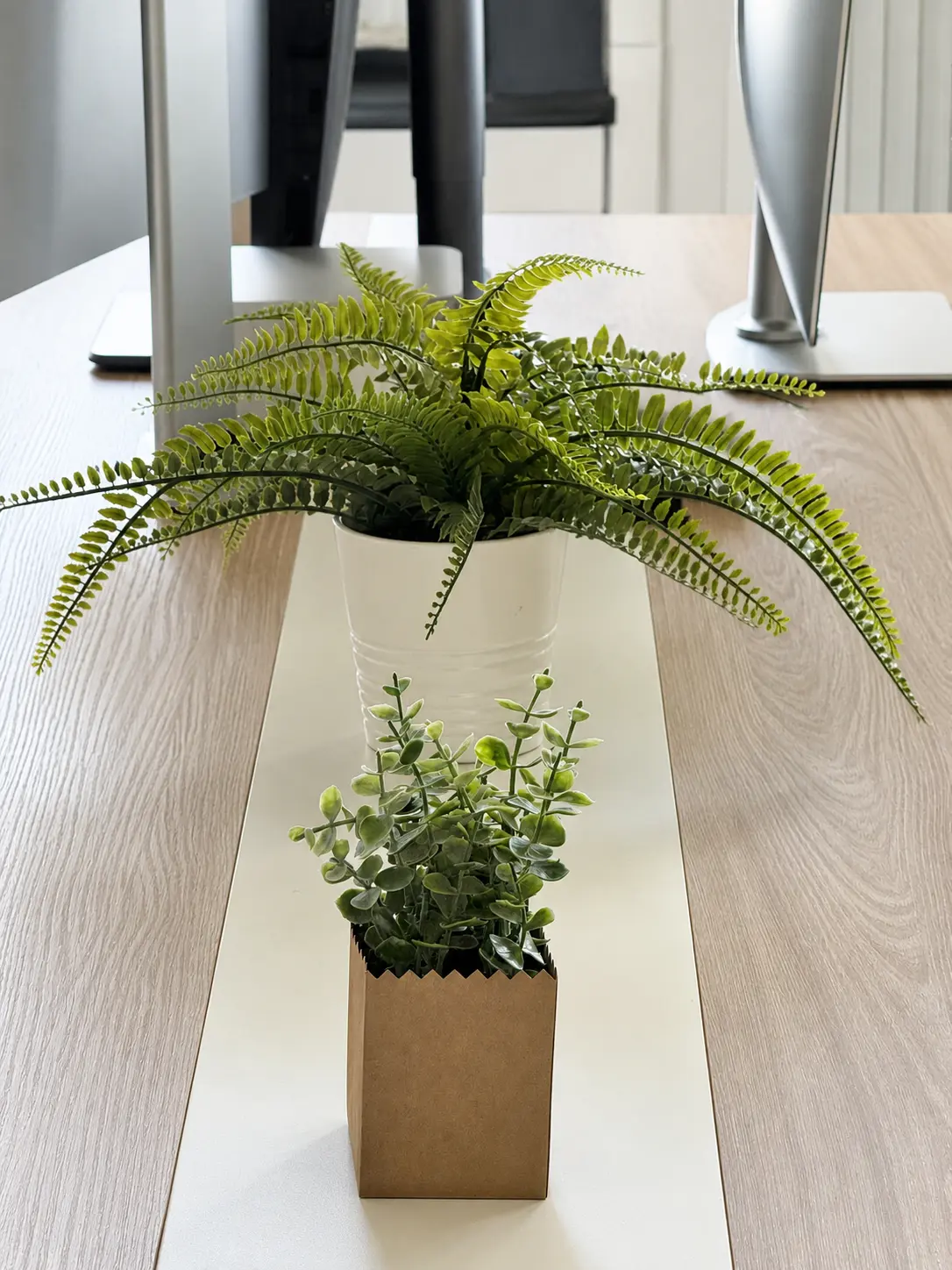 Plantes et goulotte centrale des bureaux
